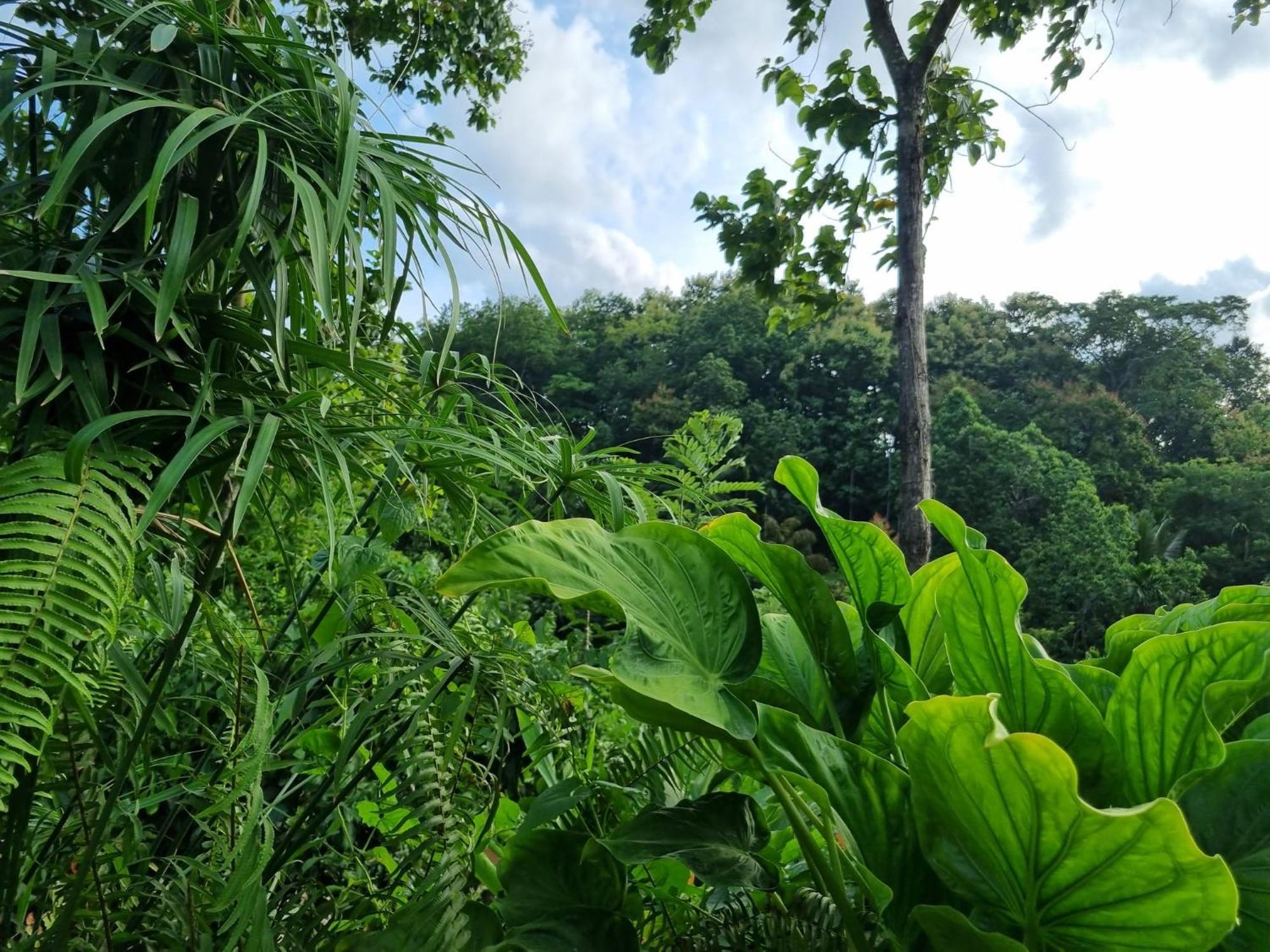 Silver Hill Ecovillage Kurunegala Exterior foto